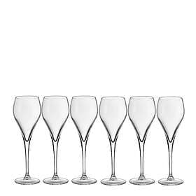 Stiernholm Bubbles Champagneglass 16cl 6-pack