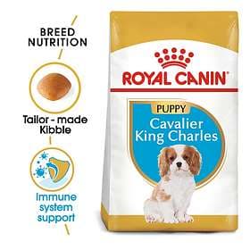 Royal Canin BHN Cavalier King Charles Puppy 1.5kg